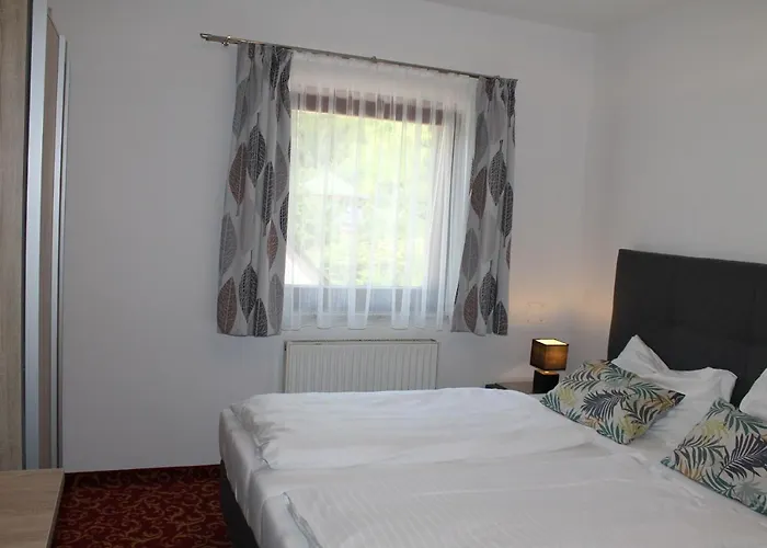 Steinbichler - Und Check In 24-7